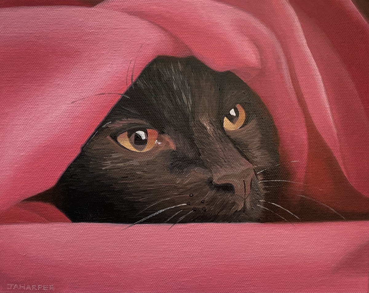 Cat In A Pink Blanket by Jill Ann Harper
