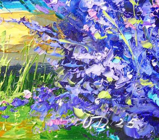Lavender evening
