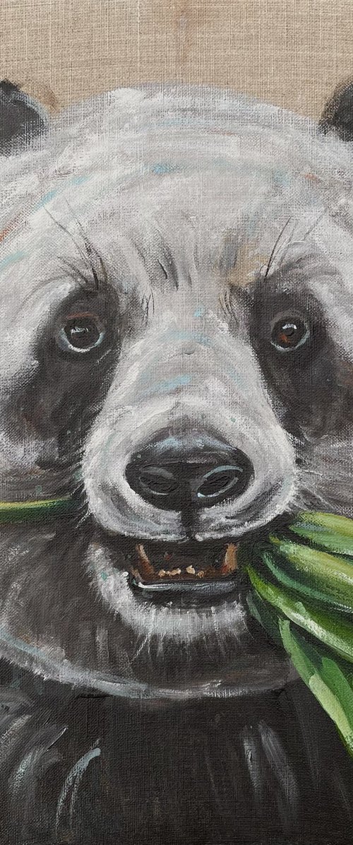 Bamboo Brunch by Louise Brown