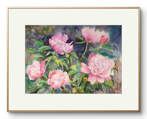Pink Peonies in the Garden