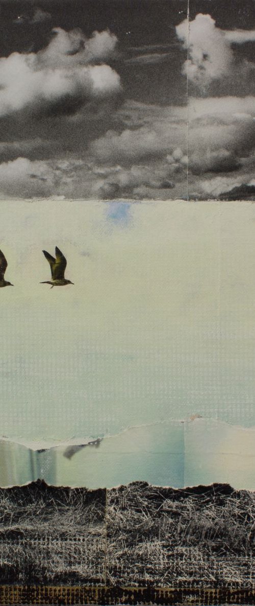 ANYWAY  THE WIND BLOWS by db Waterman