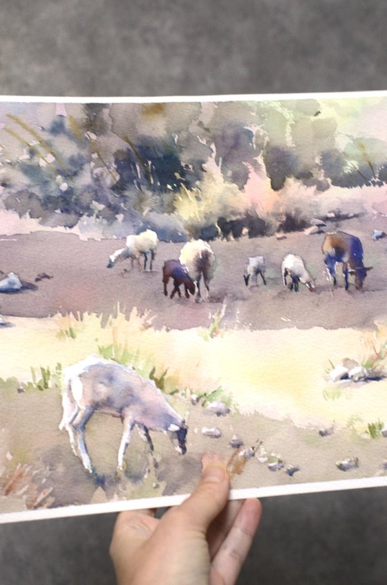 Cretan sheep Watercolor Small version