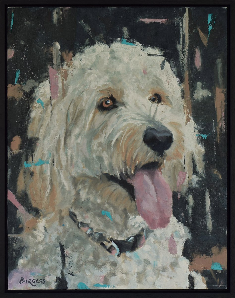 Labradoodle - Dog Artwork - Framed Oil On Canvas Panel - 19 (h) x 15 (w) by Shaun Burgess