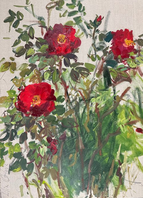 Red rose by Lilia Orlova-Holmes