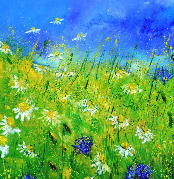 Cornflowers and daisies
