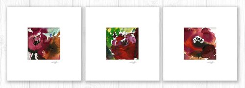 Abstract Florals Collection 10 - 3 Flower Paintings in mats by Kathy Morton Stanion by Kathy Morton Stanion