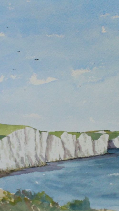 The Seven Sister Cliffs near Seaford in Sussex by Brian Tucker