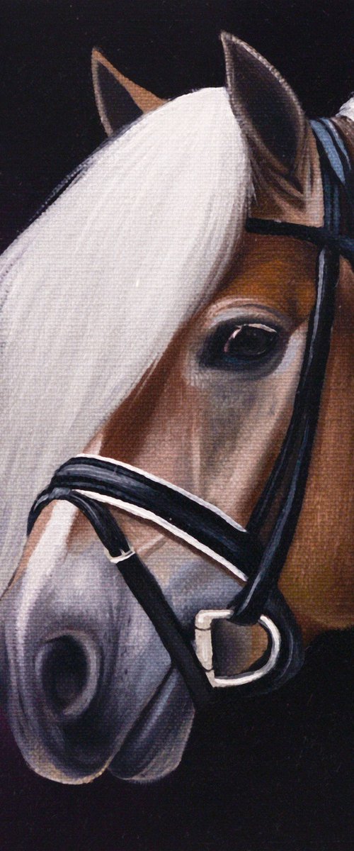 Horse Portrait 101 by Anastasia Parfilo