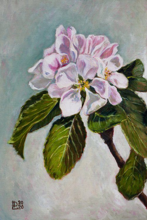 Apple Blossom by Liudmila Pisliakova