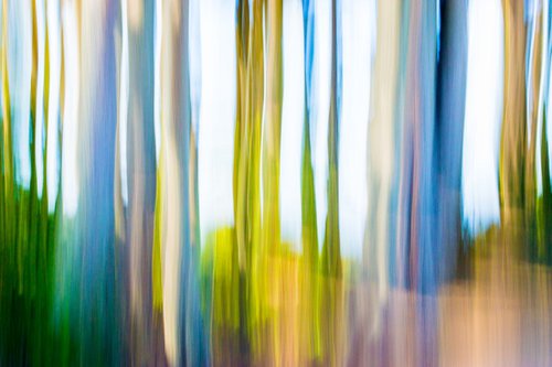 Moving Trees I by Eugene Norris