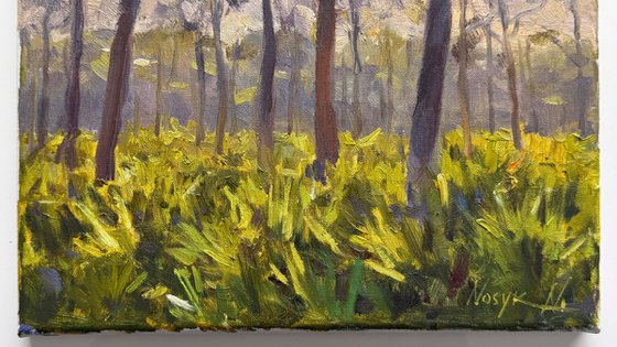 Whispering Pines, Florida