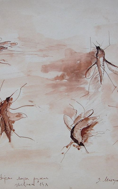 Mosquitoes by Zoran Mihajlović Muza