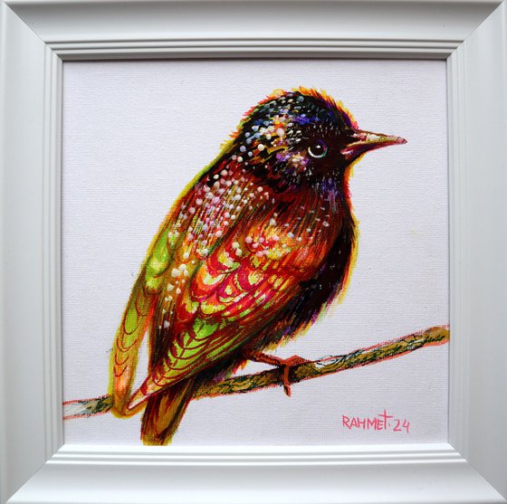 STARLING