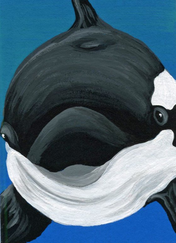 ACEO ATC Original Painting Orca Killer Whale Marine Wildlife Art-Carla Smale