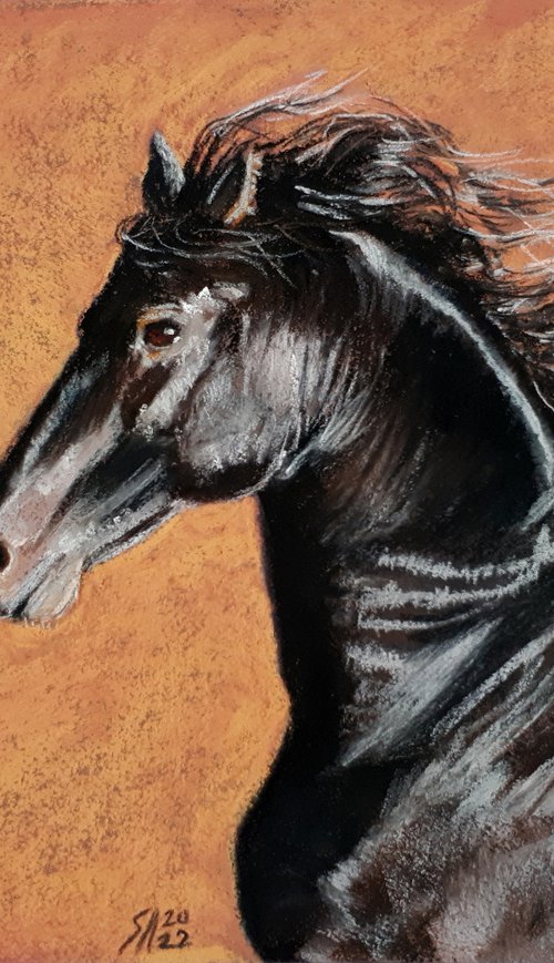 Horse III /  ORIGINAL PAINTING by Salana Art