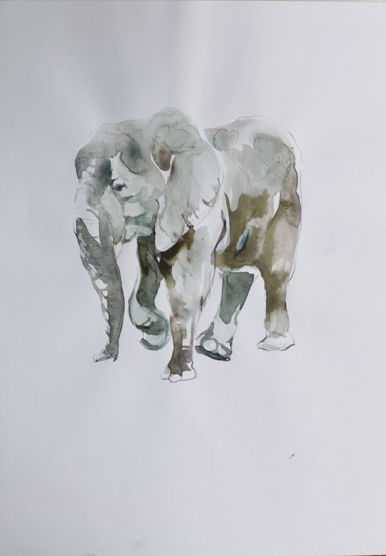 Elephant