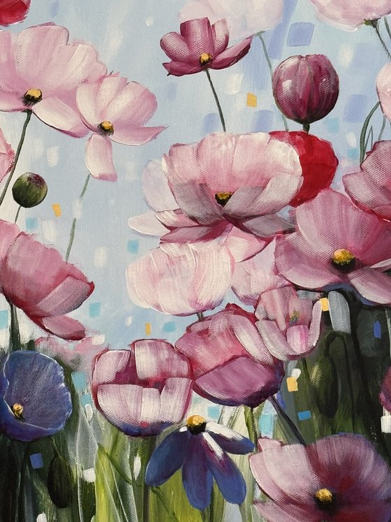 Poppies Land 5