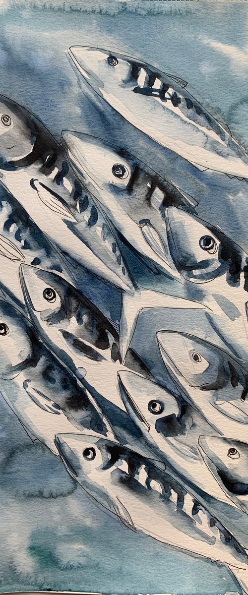 Fish life by Olga Pascari