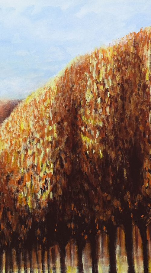 October in  Versailles - Versailles Diaries by Danijela Dan