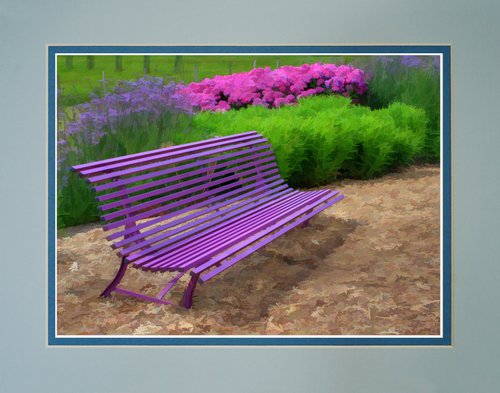Purple Bench by Robin Clarke