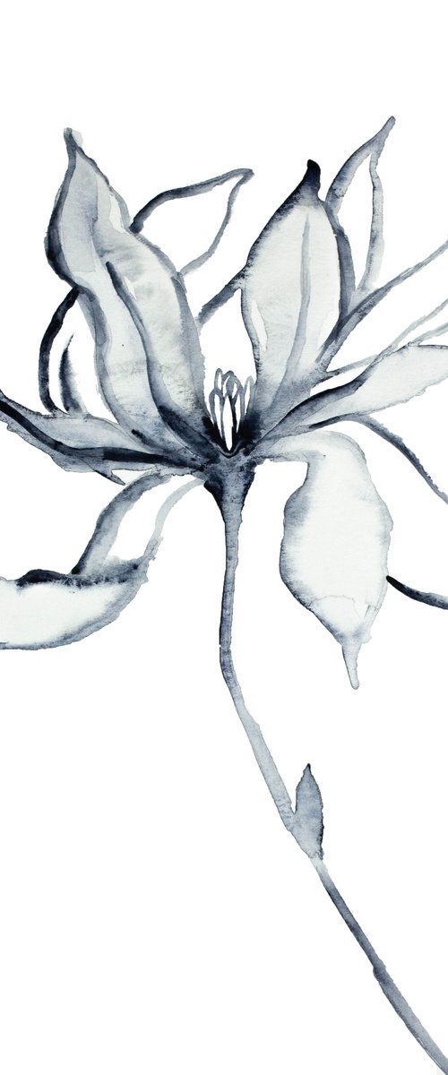 Magnolia No. 31 by Elizabeth Becker