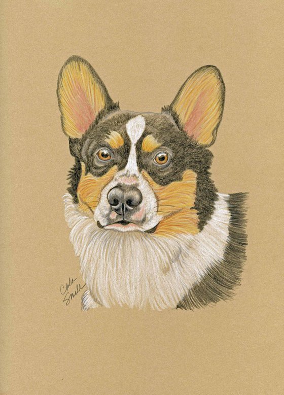 Pet Dog Welsh Tri-Color Corgi Art Original Drawing-Carla Smale