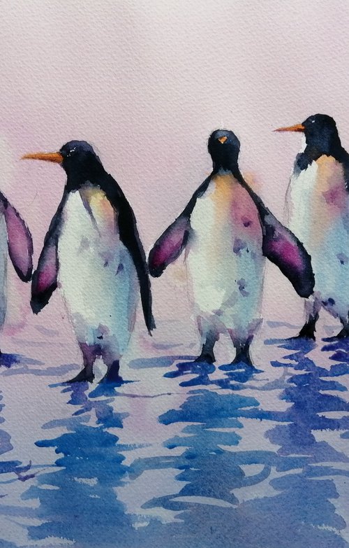 penguins 6 by Giorgio Gosti