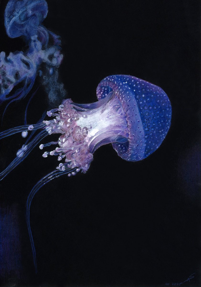 Photorealistic Pencil Drawing , Ocean Glow By Annika Schmitt, 12 X 16, Artwork For Sale On Artfinder