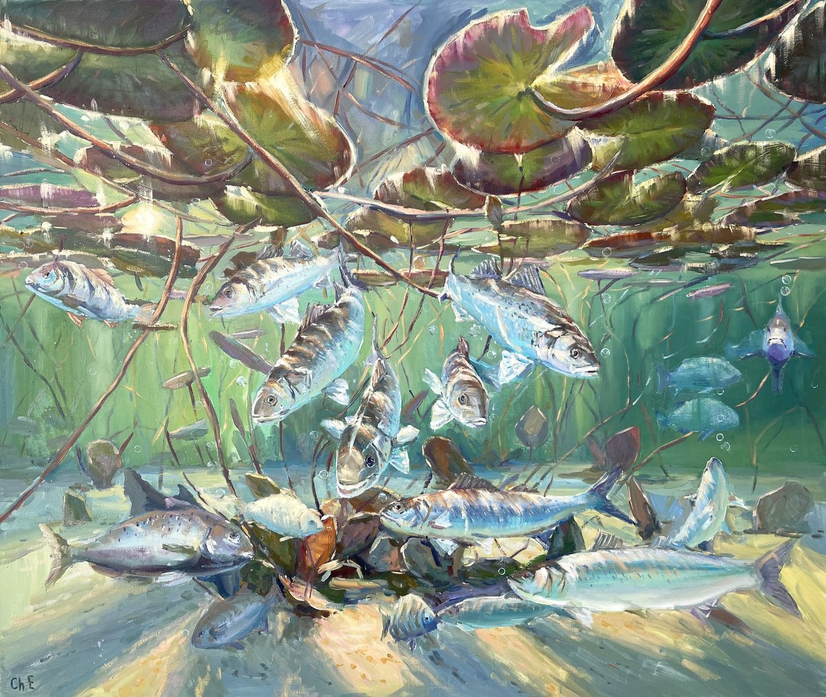 Undersea World By Evgeny Chernyakovsky, 47 X 39, Artwork For Sale On Artfinder