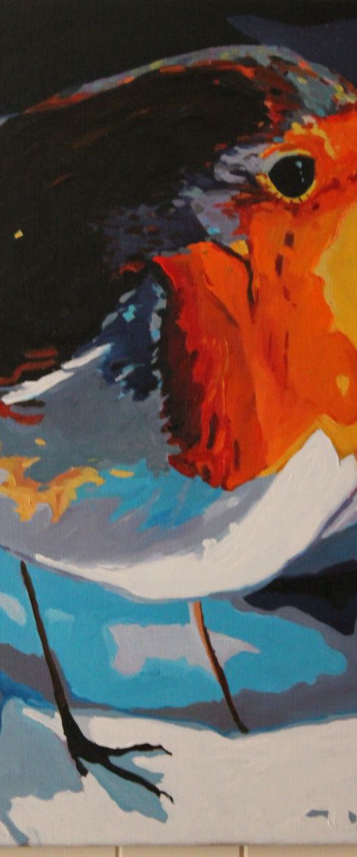 Mr Robin by Emma Cownie