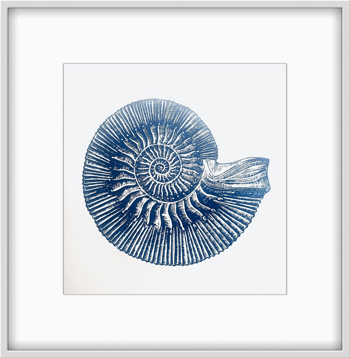 Ammonite by Amy Cundall