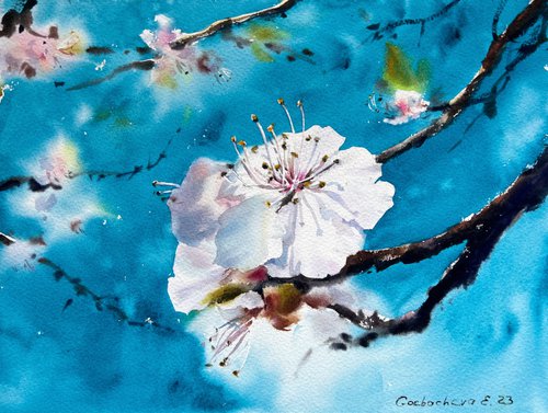 Almond flower #10 by Eugenia Gorbacheva