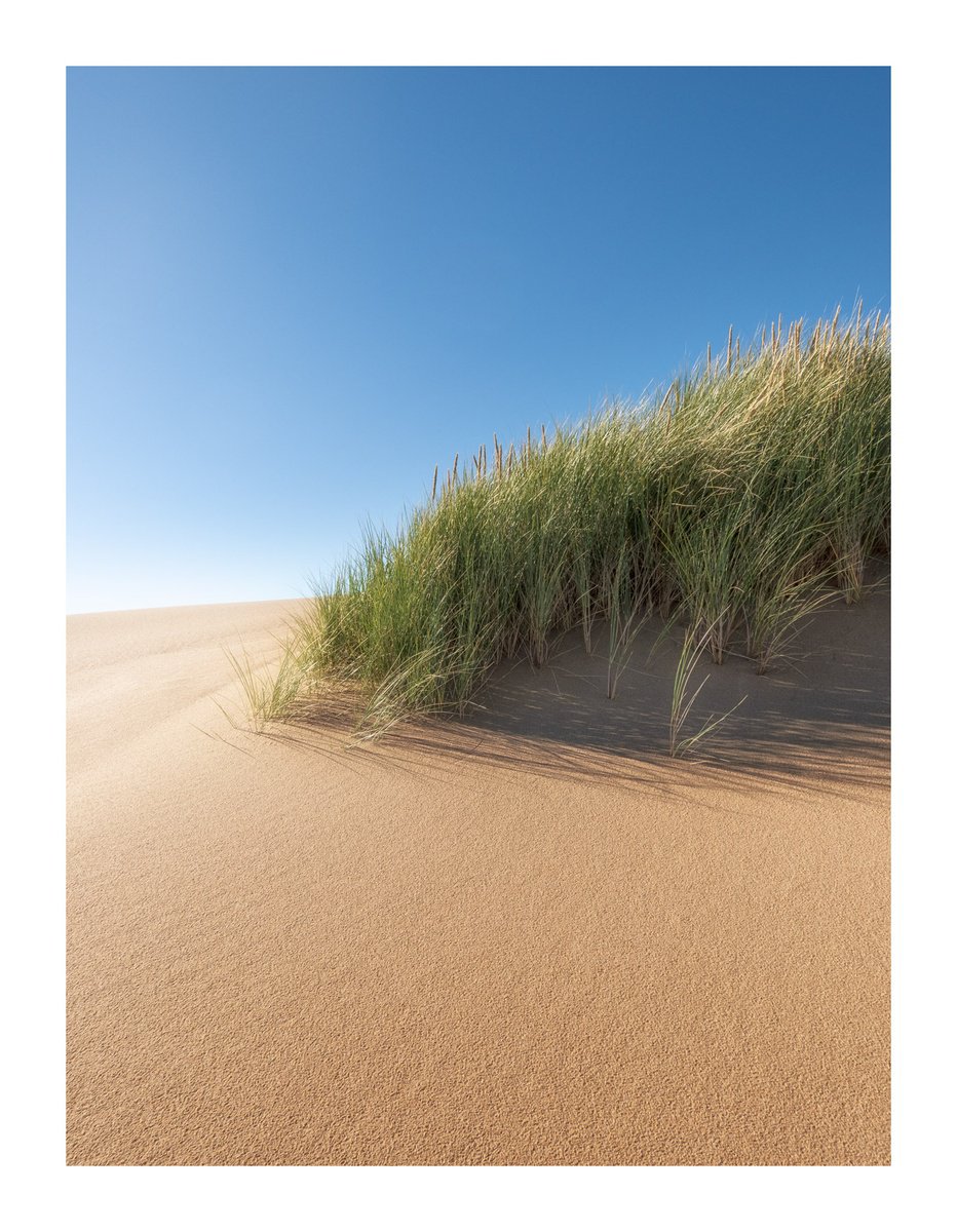 Dune Portrait I by David Baker