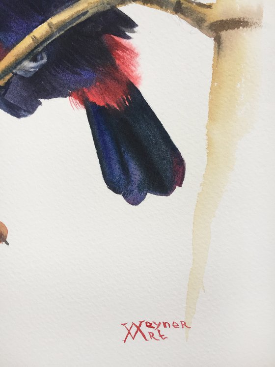 Toucan. Bright bird on tree painting. Watercolor bird.