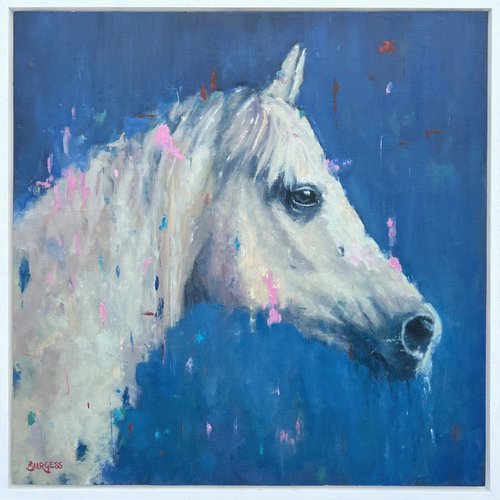 A Horse Called Duchess by Shaun Burgess