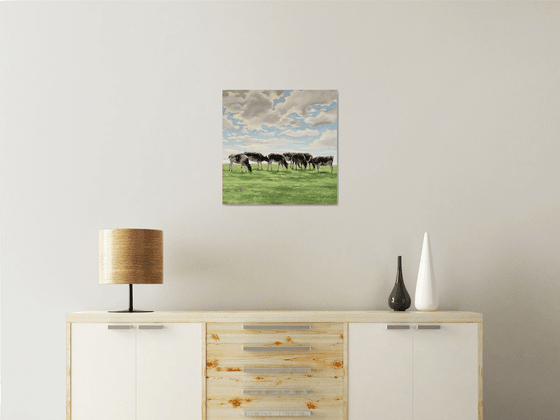 Cows in a field