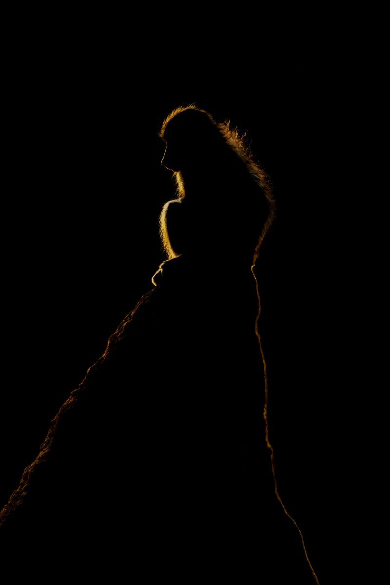 Photorealistic Animal Photograph By Nick Dale, 38 X 53", The Rock, Original Artwork