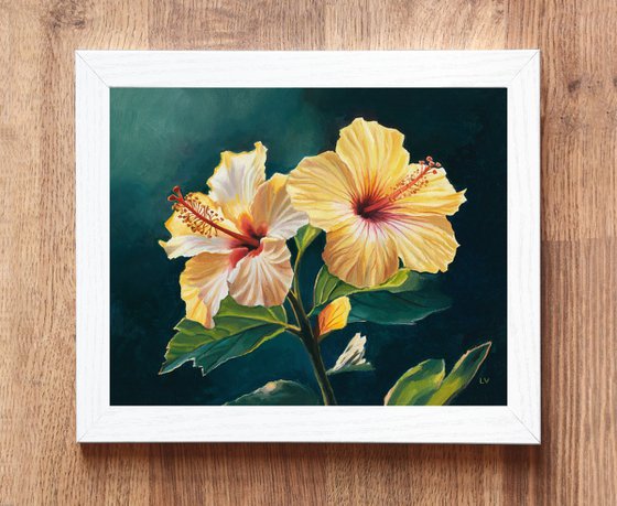 Two yellow hibiscus flowers