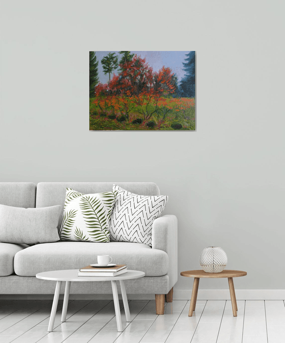 Autumn Landscape