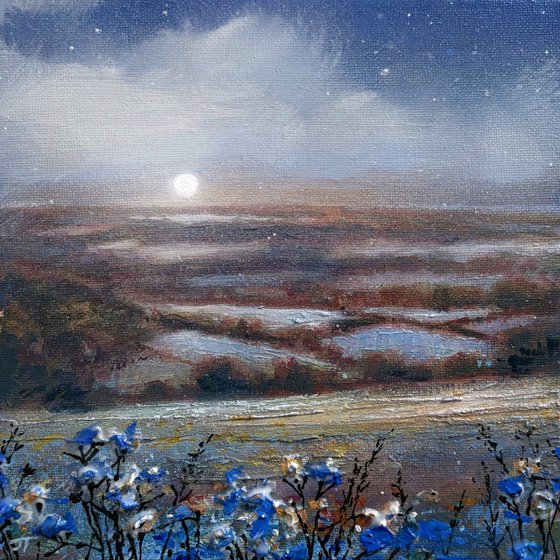 Across The Moon Fields