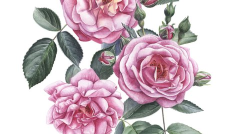 Artwork by Yuliia Moiseieva