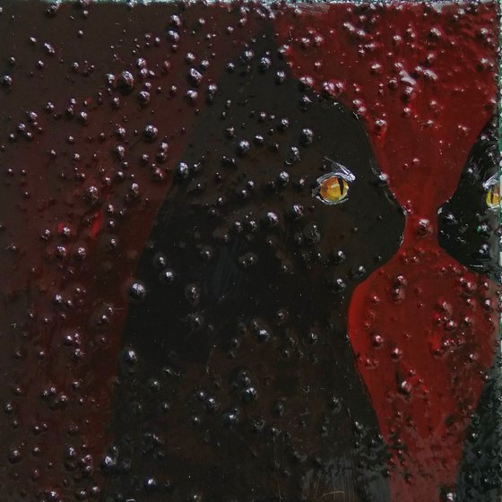 "Cat looking in to the mirror"