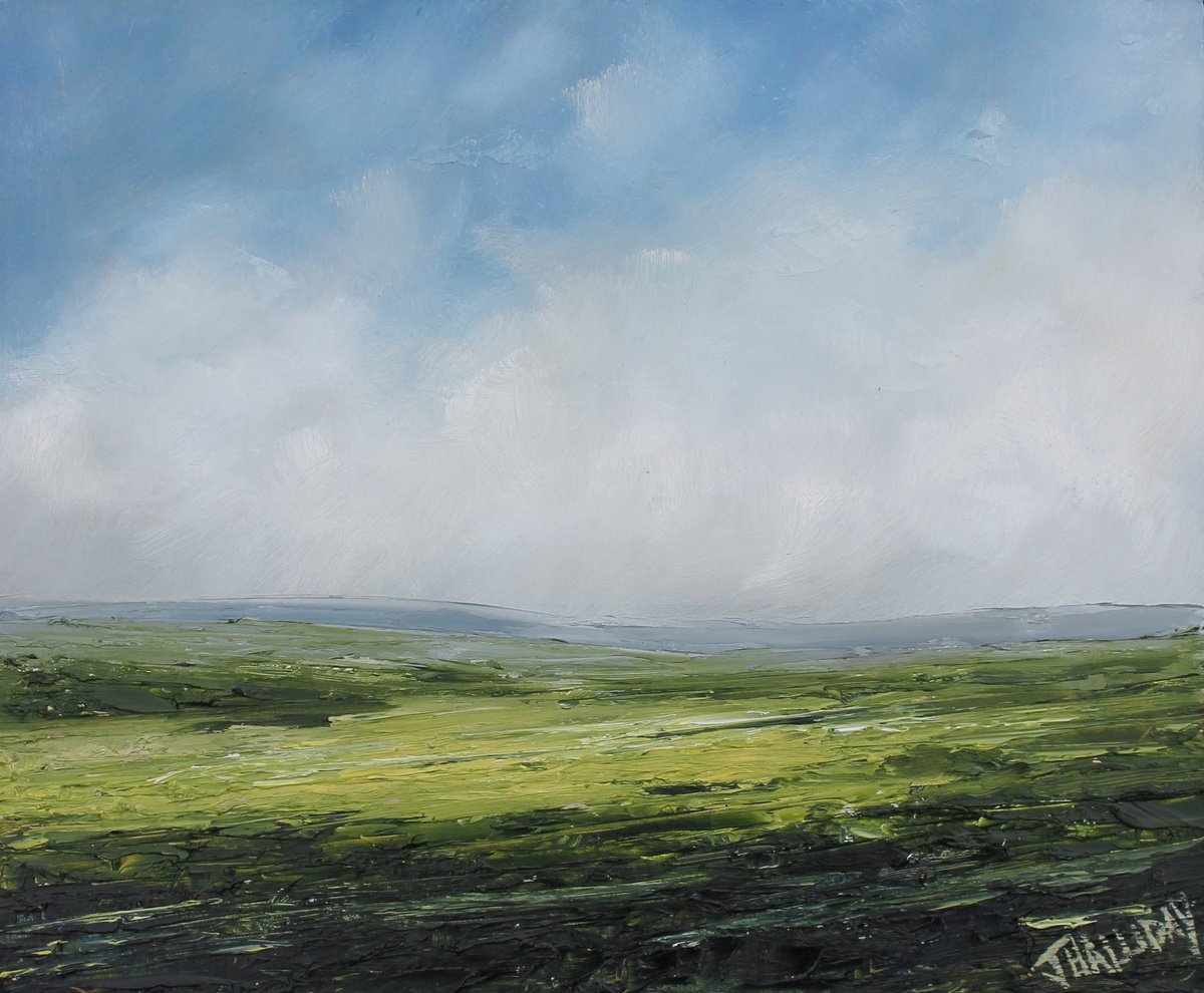 Returning Spring, Irish Landscape by John Halliday