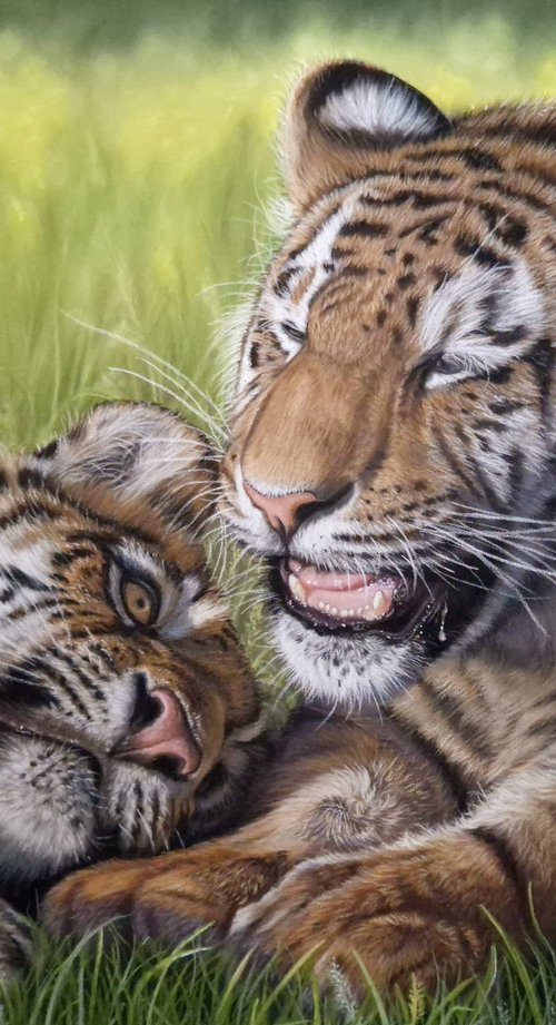 'Lighthearted' by Silvia Frei