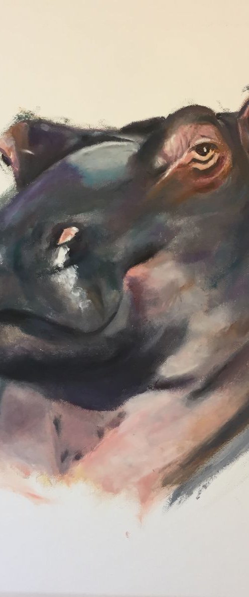 Hello Mr Hippo by Ryan Louder