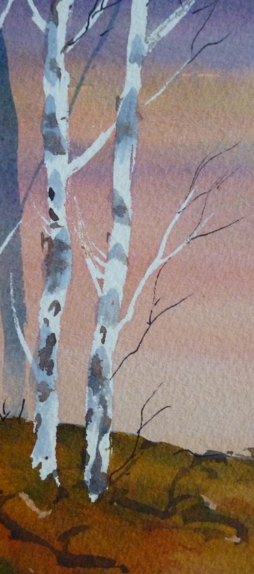 Silver Birches at Evening by Maire Flanagan