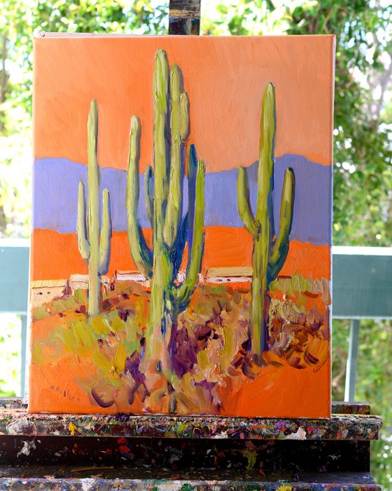 Cactuses in Desert