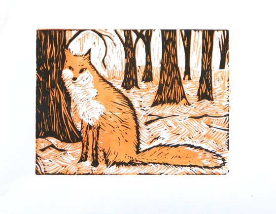 Fox in the woods