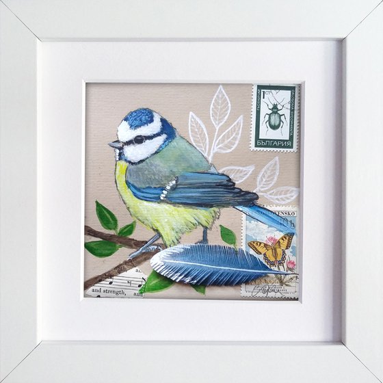 The blue tit feather  (framed and ready to hang)