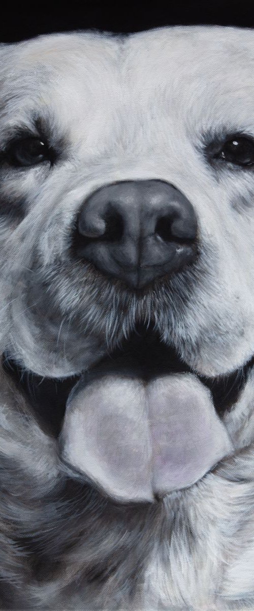 Sono qui! / I'm right here! by Federica Belloli